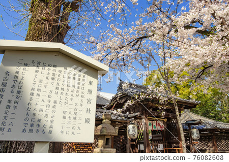 神殿匾額櫻花 照片素材 圖片 76082608 Pixta圖庫