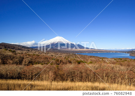 Sunny sky, forest and Mt. Fuji 76082948