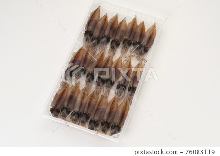 Raw firefly squid lined up on a tray Raw firefly squid lined up on a tray 76083119