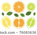 Cross section of citrus fruit with seeds 76083636