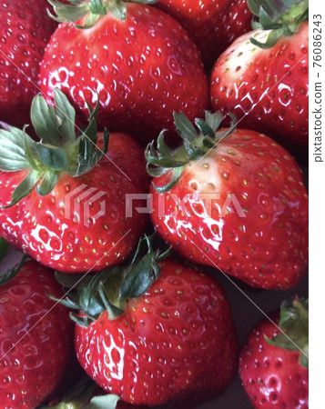 Strawberry / strawberry / strawberry ▼▼▼ Strawberry ▼▼▼ 76086243