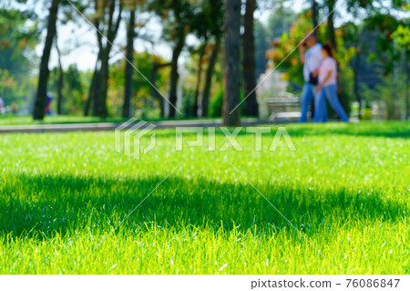 city park on a summer day, green lawns with grass and trees, paths and benches, people walking and children playing, bright sunlight and shadows city park on a summer day, green lawns with grass and trees, paths and benches, people walking and children playing, bright sunlight and shadows 76086847