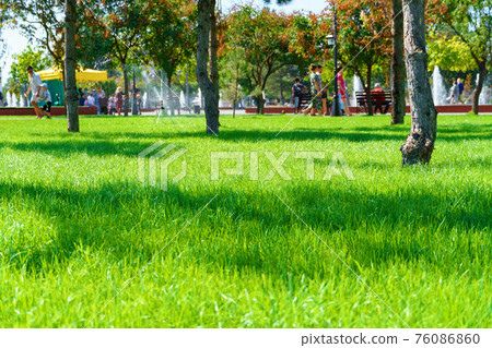 city park on a summer day, green lawns with grass and trees, paths and benches, people walking and children playing, bright sunlight and shadows city park on a summer day, green lawns with grass and trees, paths and benches, people walking and children playing, bright sunlight and shadows 76086860