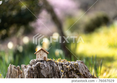 小房子(春天花背景) 小房子(春天花背景) 76087029