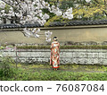 盛開的新娘 幸福在盛開的櫻花 76087084