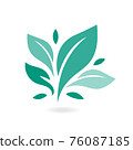 Tree leaf ecology nature vector icon. Eco icon green leaf vector illustration isolated. Plant, tree leaves illustrations. Signs of organic food, natural material, bio ingredient, eco emblem. 76087185