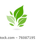 Green leaf ecology nature vector icon. plants and leaves. Logos of green leaf ecology nature element vector icon. Tree leaf ecology nature vector icon. 76087195