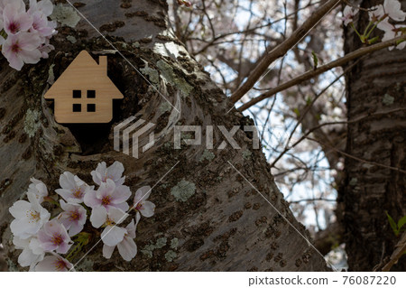 小房子(櫻花背景春天版) 小房子(櫻花背景春天版) 76087220
