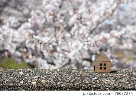 小房子(櫻花背景春天版) 小房子(櫻花背景春天版) 76087274