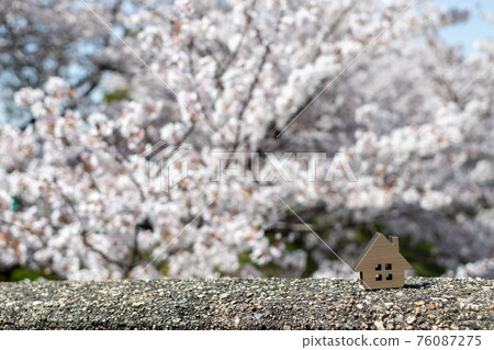 小房子（櫻花背景春天版） 76087275