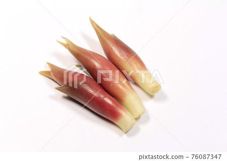 鮮薑的形象 76087347