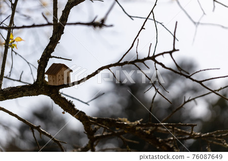 Small house on a tree 76087649