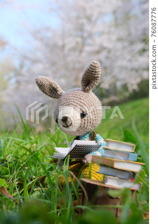 Animal amigurumi spring picnic 76087776