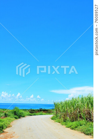 Okinawa blue sky and sugar cane field scenery 76089527