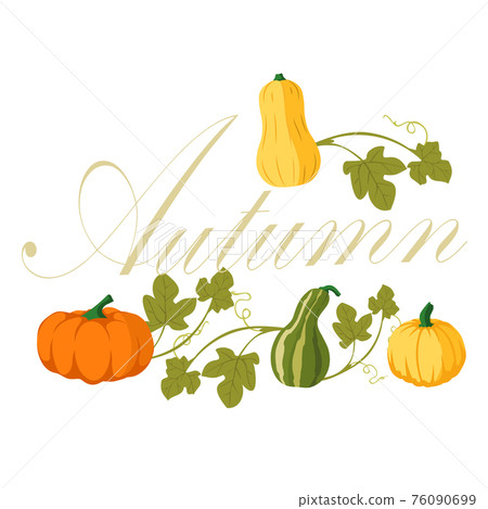 Pumpkin set vector Pumpkin set vector 76090699