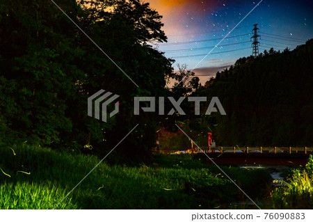 Firefly flying summer night 76090883