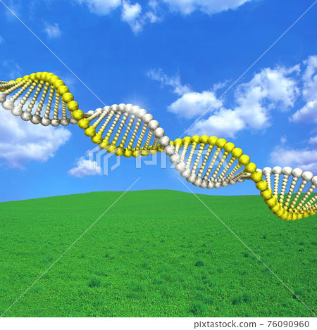 Image of viral DNA gene sequence 76090960