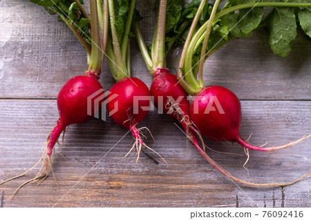 Radish Radish 76092416