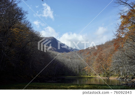 秋葉樺樹和湖 76092843