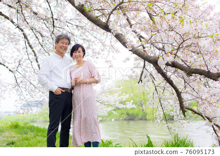 Yoshino cherry tree Senior couple enjoying cherry blossoms Copy space right side 76095173