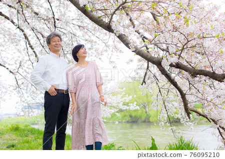 吉野櫻花樹 享受櫻花的老夫婦複製空間右側 76095210