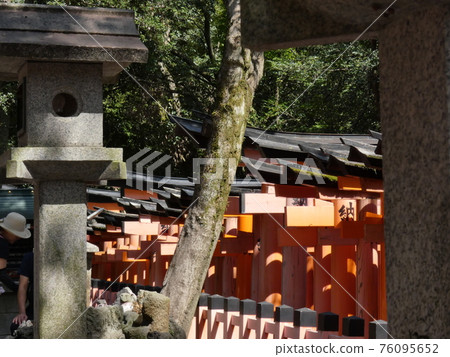 Senbon Torii lined up in the sun 76095652