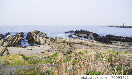 湘南三浦半島最南端神奈川縣三浦市城島的春天 76095791