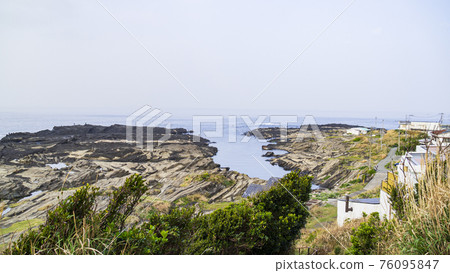 Spring in Jogashima, Miura City, Kanagawa Prefecture, the southernmost tip of the Shonan Miura Peninsula Spring in Jogashima, Miura City, Kanagawa Prefecture, the southernmost tip of the Shonan Miura Peninsula 76095847