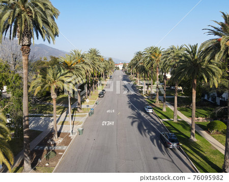 Aerial view of palm tree lined Street in Pasadena neighborhood in California Aerial view of palm tree lined Street in Pasadena neighborhood in California 76095982