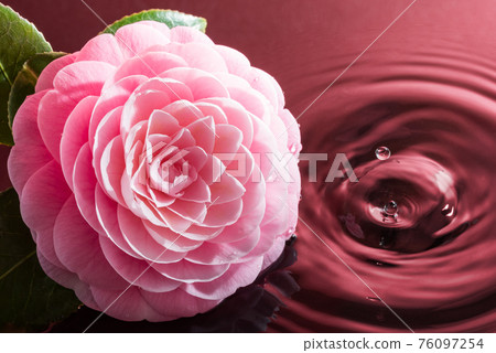 牡丹花水意象(紅底) 牡丹花水意象(紅底) 76097254