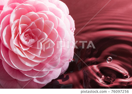 牡丹花水意象(紅底) 牡丹花水意象(紅底) 76097256