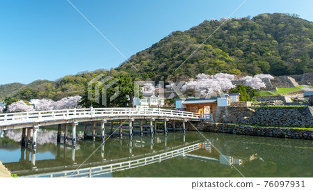 鳥取城春景“中野五門正門” 76097931