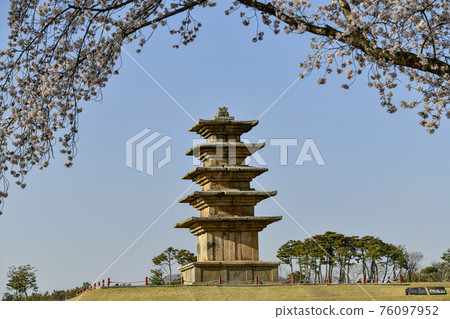 Spring at the Iksan Wanggung-ri Historic Site Spring at the Iksan Wanggung-ri Historic Site 76097952