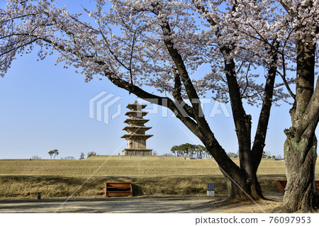 Spring at the Iksan Wanggung-ri Historic Site Spring at the Iksan Wanggung-ri Historic Site 76097953