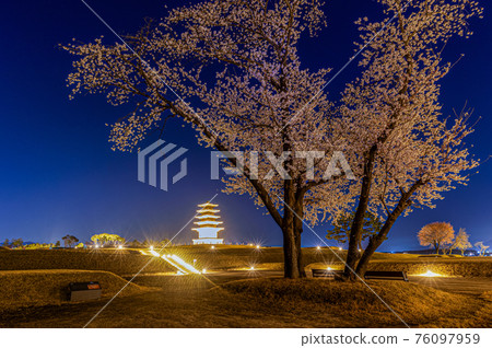 Spring at the Iksan Wanggung-ri Historic Site 76097959