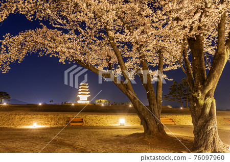 Spring at the Iksan Wanggung-ri Historic Site 76097960