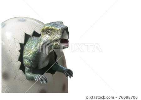 Dinosaur photo [white background & message space] 76098706