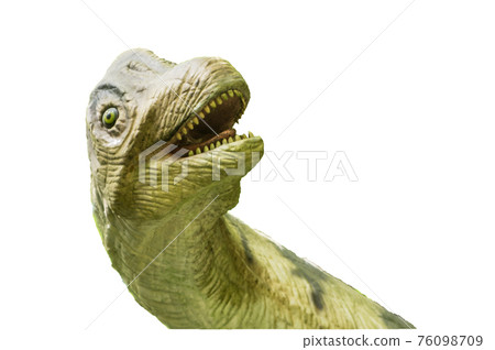 恐龍照片【白底&留言區】 恐龍照片【白底&留言區】 76098709