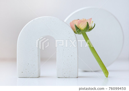 Spring modern still life with geometric shapes and ranunculus flower on a neutral white background. Spring modern still life with geometric shapes and ranunculus flower on a neutral white background. 76099450