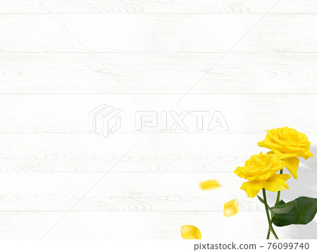 白木紋和黃玫瑰背景 白木紋和黃玫瑰背景 76099740