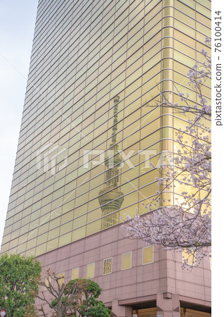 Tokyo Sky Tree reflected in the cherry blossoms and the building Tokyo Sky Tree reflected in the cherry blossoms and the building 76100414