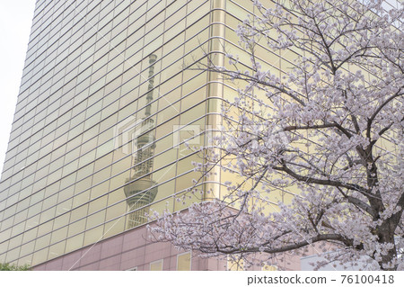 東京晴空塔倒映在櫻花和建築中 東京晴空塔倒映在櫻花和建築中 76100418