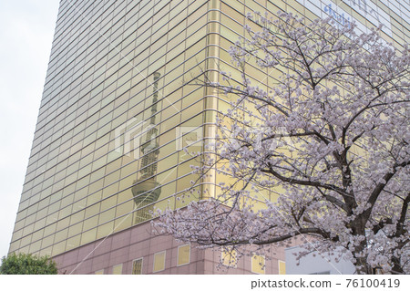 Tokyo Sky Tree reflected in the cherry blossoms and the building Tokyo Sky Tree reflected in the cherry blossoms and the building 76100419