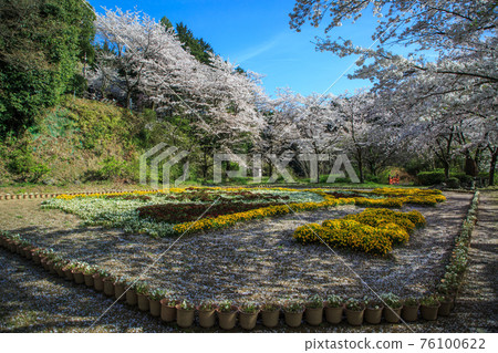 Abe Monjuin Jumbo Zodiac Flower Painting 76100622