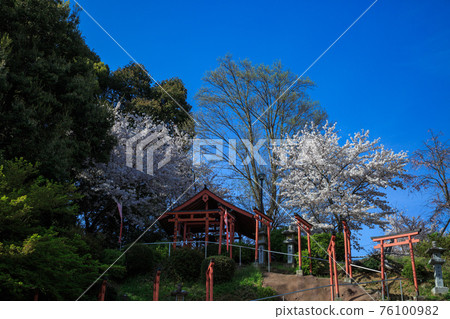 阿部文重院稻荷神社 阿部文重院稻荷神社 76100982