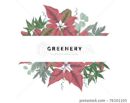 Greenery bouquet wreath template, red and green Poinsettia plant , green leaves in circle shape Greenery bouquet wreath template, red and green Poinsettia plant , green leaves in circle shape 76101105