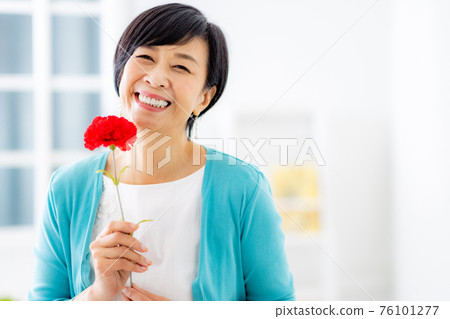 Mother's Day Carnation Mother Mother's Day Carnation Mother 76101277