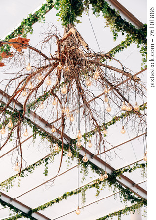 Chandelier made from tree roots. Unusual design solutions for interior decoration. Chandelier made from tree roots. Unusual design solutions for interior decoration. 76101886