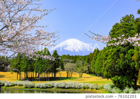 Golf Course Taiheiyo Club Gotemba Course Gotemba City, Shizuoka Prefecture 76102201