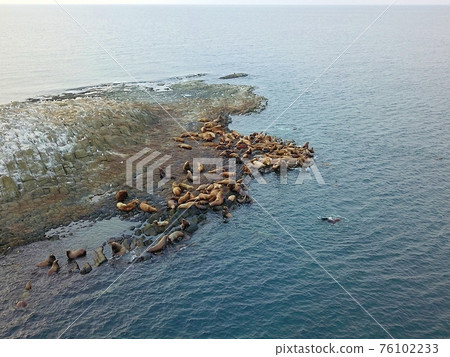 豆豆之都（稚內市） 76102233